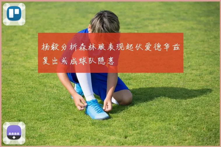 杨毅分析森林狼表现起伏爱德华兹复出或成球队隐患
